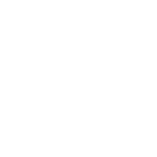 Customs & Compliance